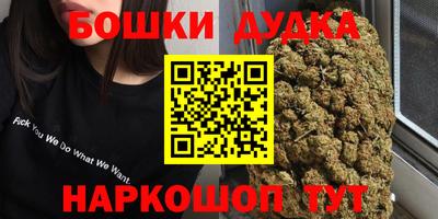 дживик Дубна